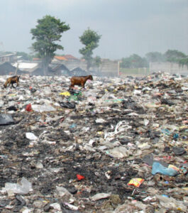 Data Kabupaten/Kota Penghasil Sampah Terbanyak di Jawa Barat (2021) Kementrian Lingkungan Hidup Gambar : Wikipedia