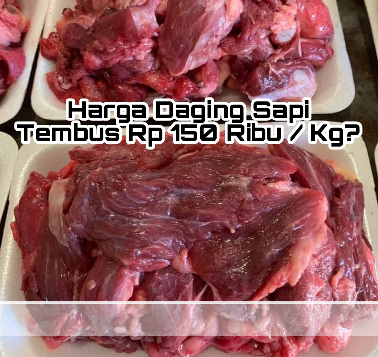 Harga Daging Sapi Naik, Hari Ini Rp 150 Ribu per Kilogram