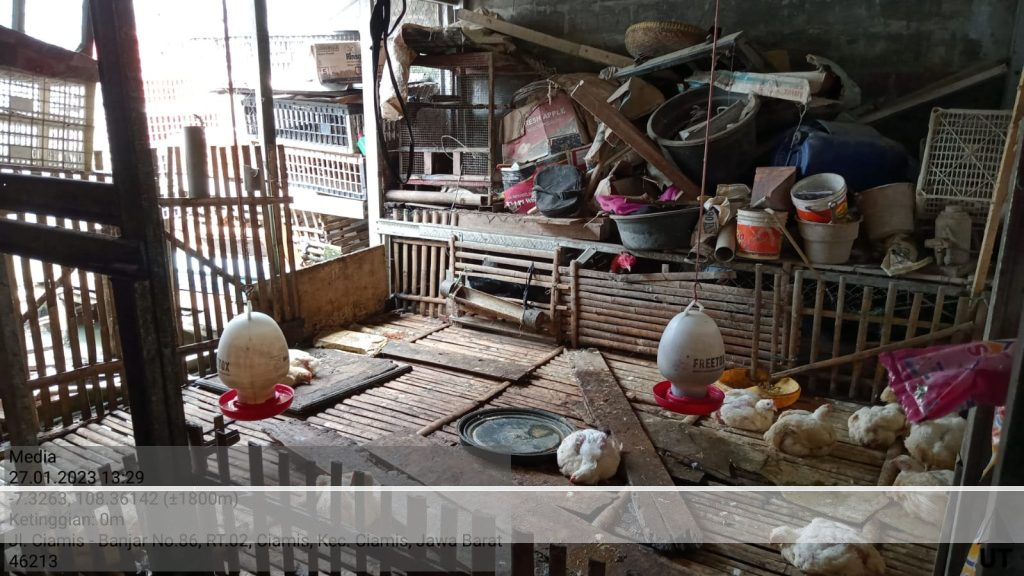 Limbah Pemotongan Ayam Cemari Lingkungan, Warga Mengeluh