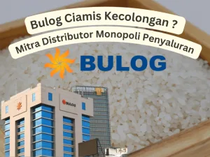 Mitra Distributor Bulog Ciamis Monopoli Penyaluran Beras, Kantor Pusat dan Gudang tidak Sinkron ?