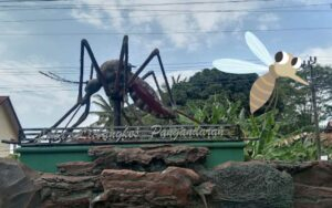 Hari Nyamuk Sedunia, Pangandaran Punya Museum Nyamuk ?