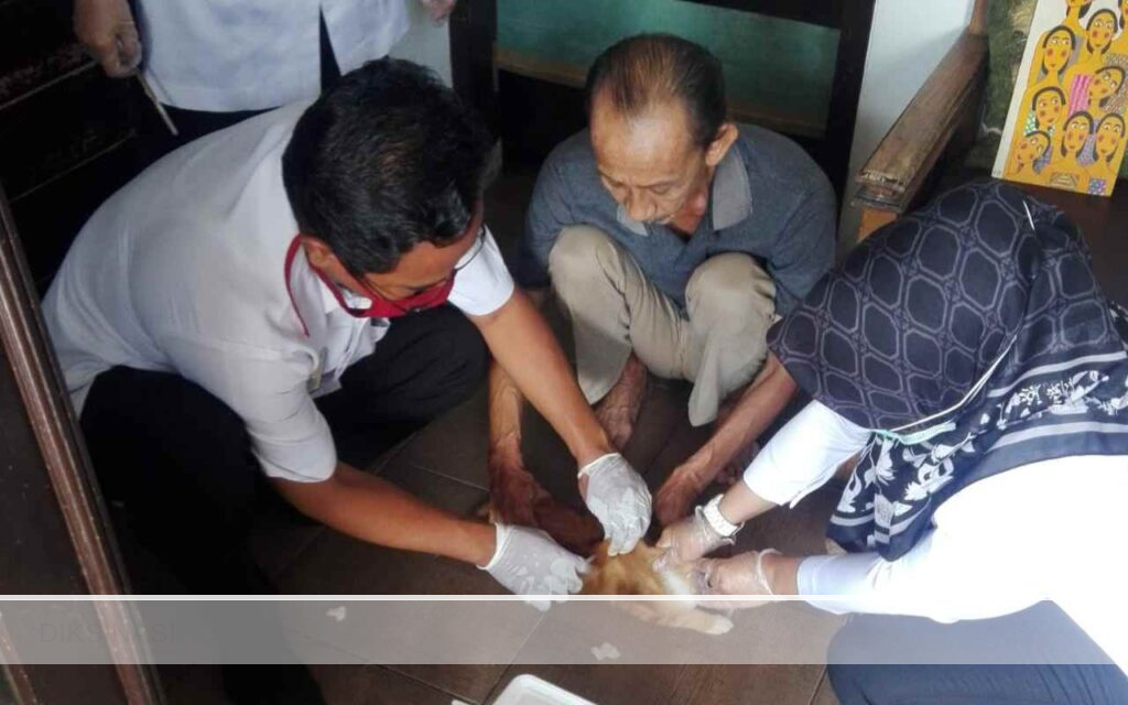 Hari Kucing Dunia, Toni Ichlas Punya Cara Sendiri Merayakannya