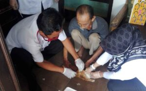 Hari Kucing Dunia, Toni Ichlas Punya Cara Sendiri Merayakannya