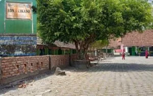 Pungli SDN 1 Cikaso Demi Bangun Pagar, Wali Murid Meradang