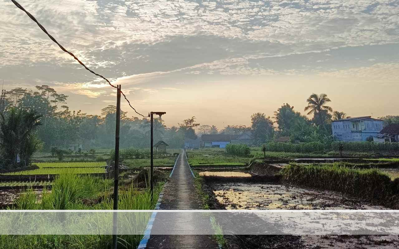 Harga Beras Ciamis Melonjak Jelang Puasa, Elnino jadi Tersangka