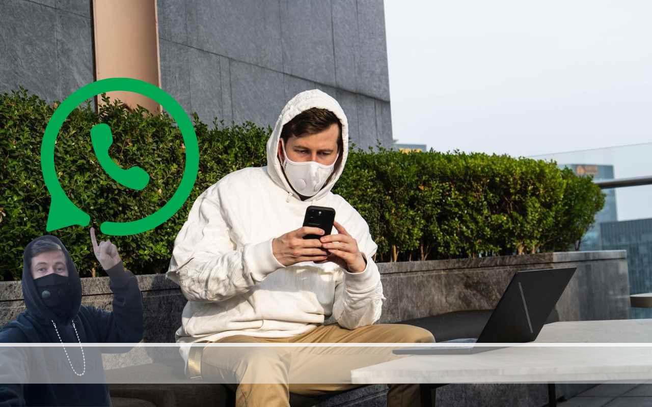 No Whatsapp Alan Walker Masuk Group Keluarga Jelang Konser