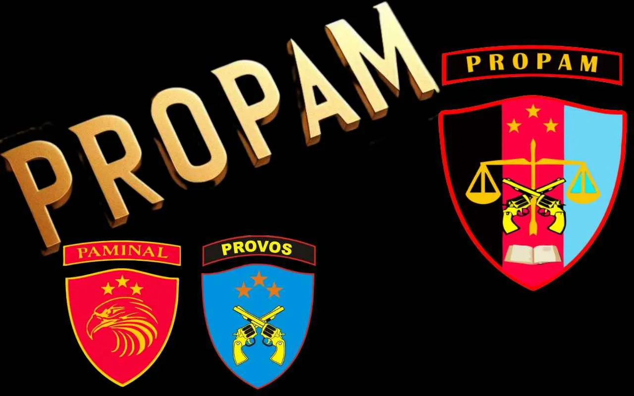 Propam dan Tugasnya, Apa Saja Kewenangannya Simak Disini
