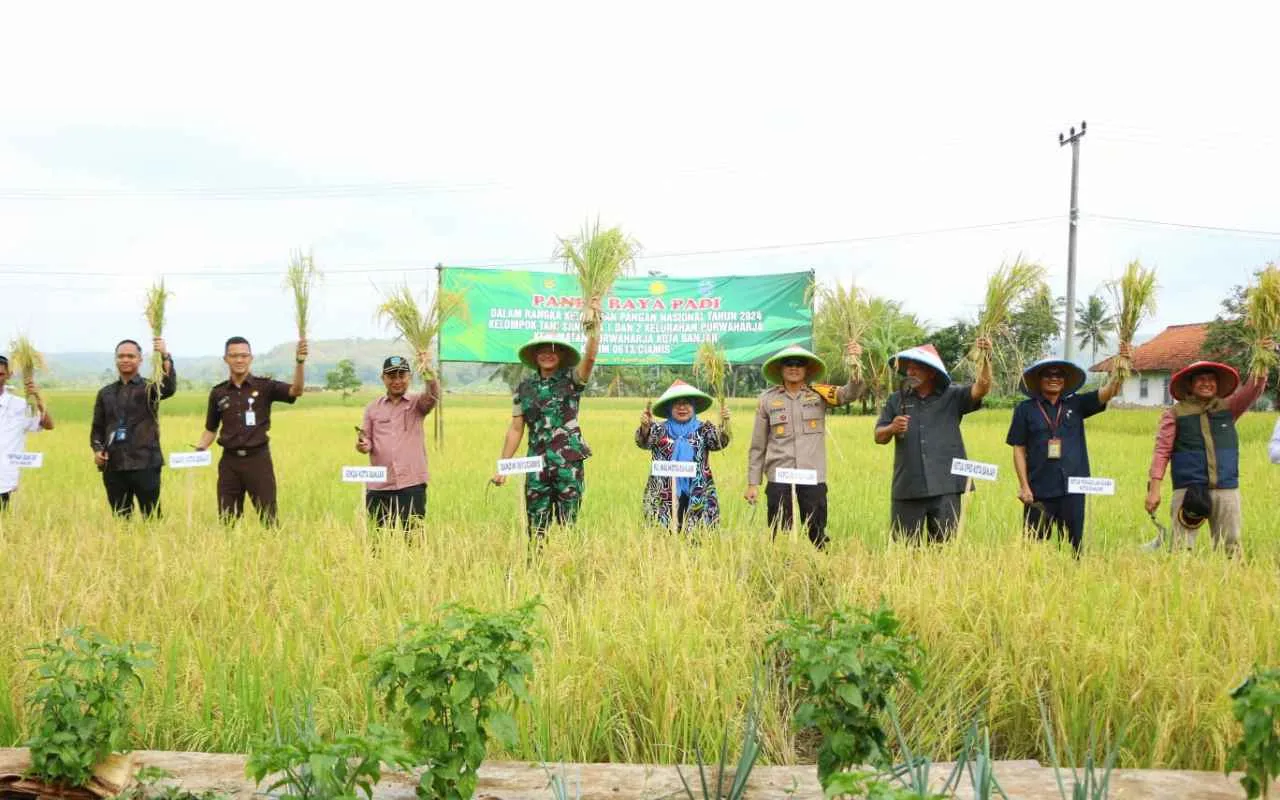 Kodim 0613/Ciamis Dan Forkopimda Banjar, Gelar Panen Raya