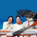 Jeju Air Tabrakan dengan Burung Tewaskan 85 Orang Penumpang