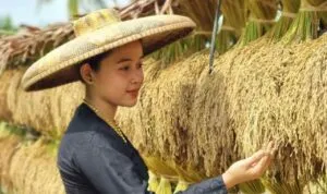 Padi Huma Ciamis Lestarikan Tradisi Tingkatkan Ekonomi Galuh Tangkap Layar Instagram: @tehayubaduy