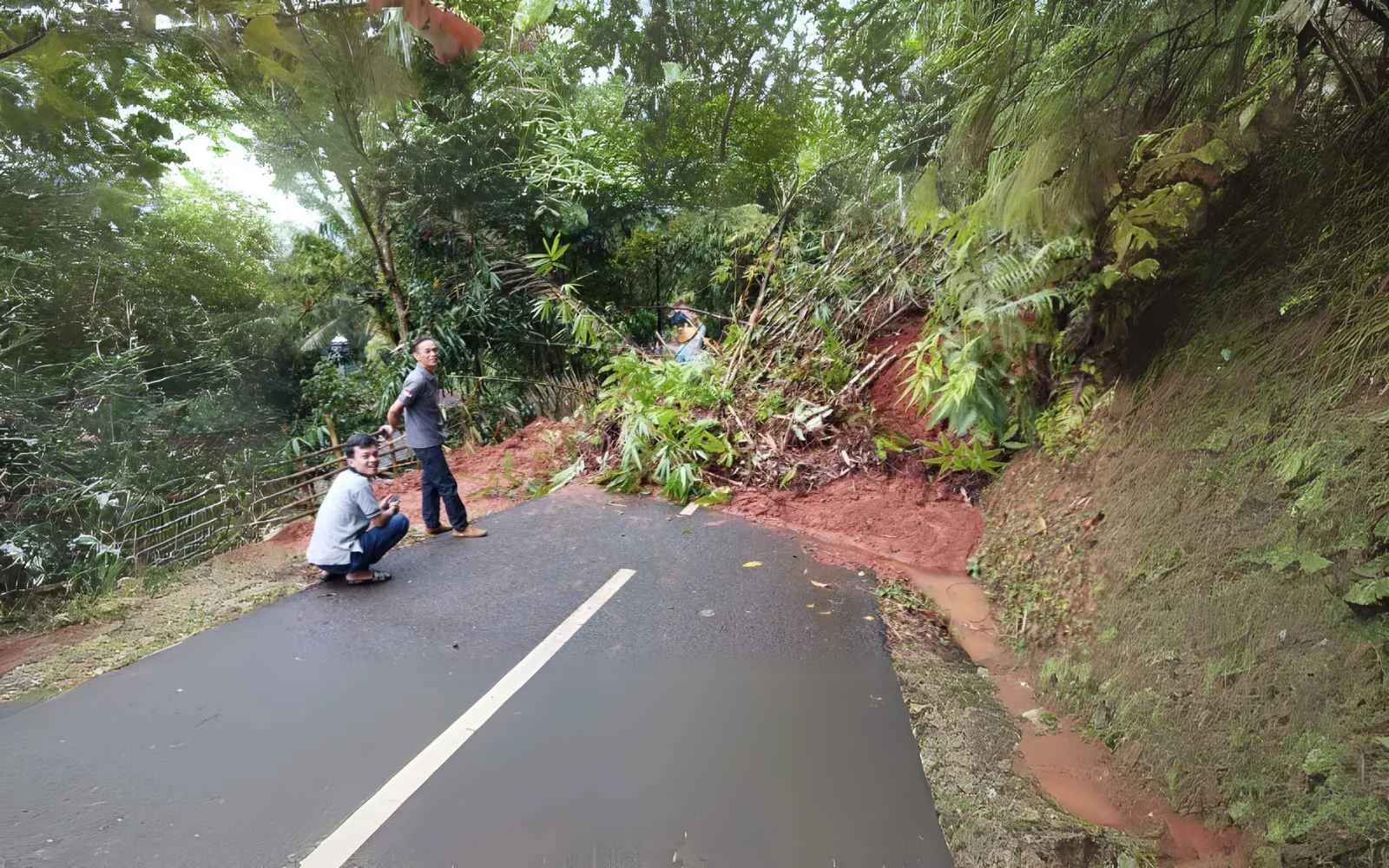 Ciamis Darurat Longsor! Jalur Darmacaang dan Kujang Terputus