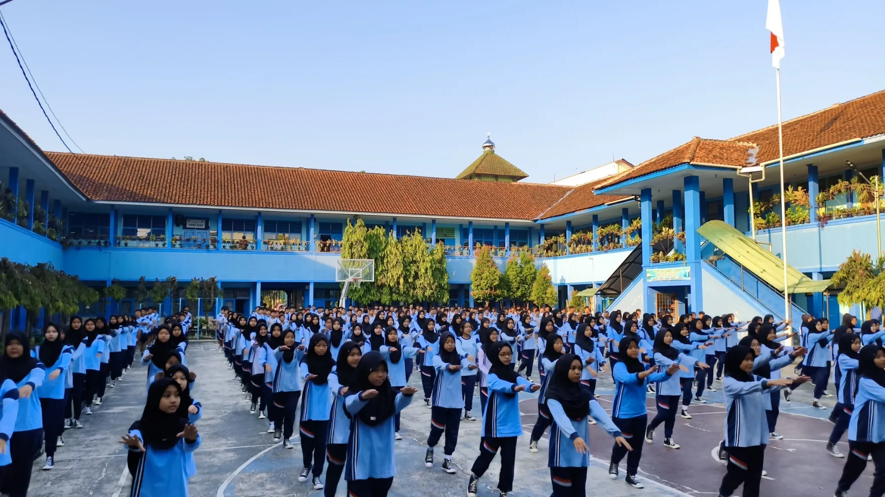 <yoastmark class=