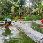 Saluran Air Cilayung Rusak, Ratusan Pembudidaya Ikan Merana