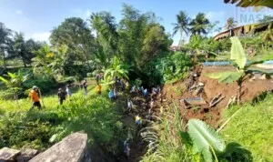 Bendung Nagawiru Longsor, Ratusan Warga Gotong Royong