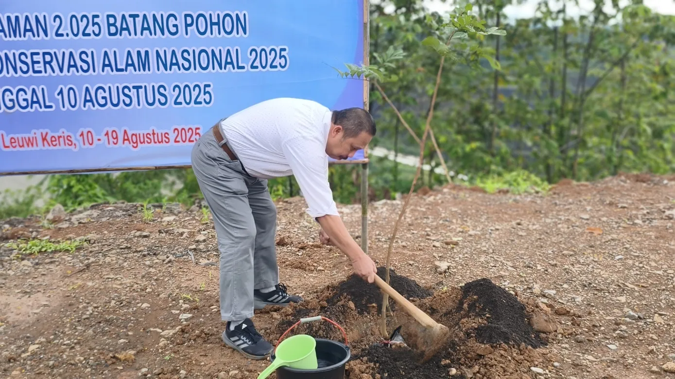 2025 Pohon Leuwikeris Penanda Konservasi Tak Hanya Seremoni