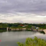 Tanam Pohon Leuwikeris, Unigal Konservasi Bukan Seremoni