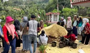 Pertanian Herbal Desa Sadewata, Inovasi KKN Unigal Ciamis